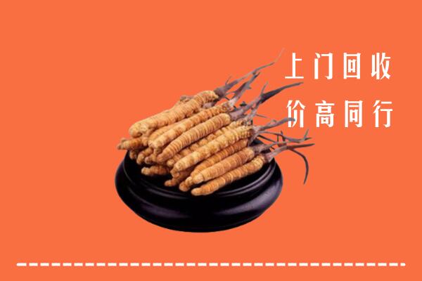 高价求购：锡林郭勒正蓝回收散虫草
