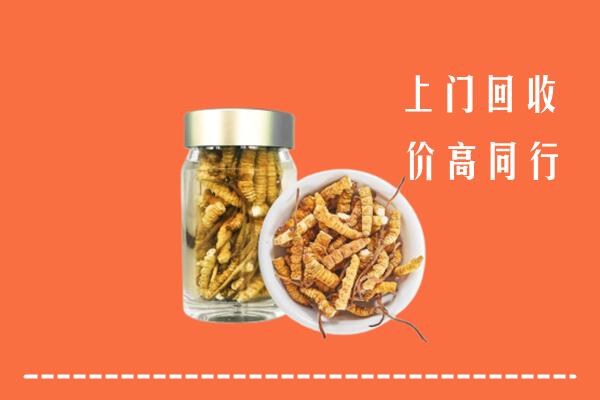 收购行情：锡林郭勒正蓝回收冬虫夏草
